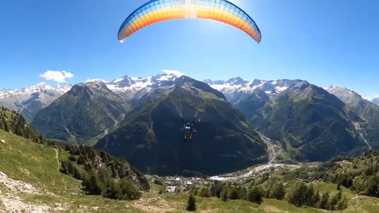 Penguin returns for another take-off