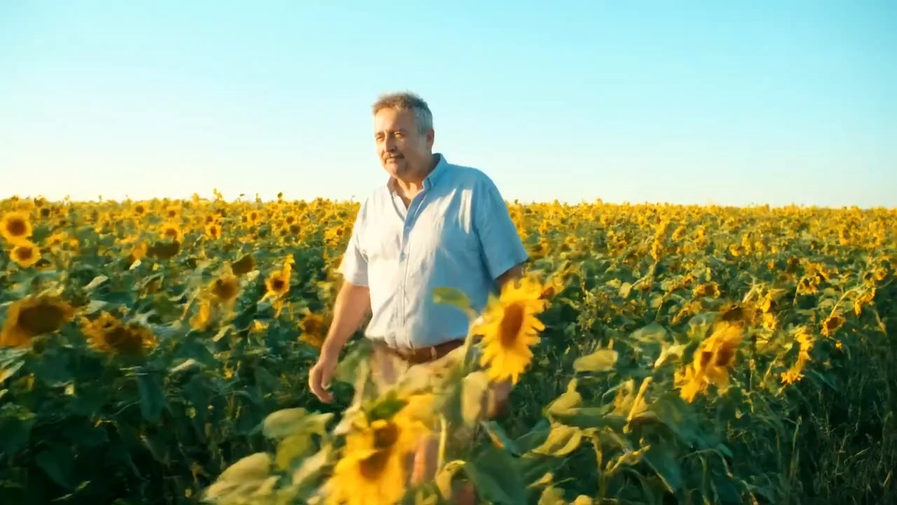 Que c'est beau la vie