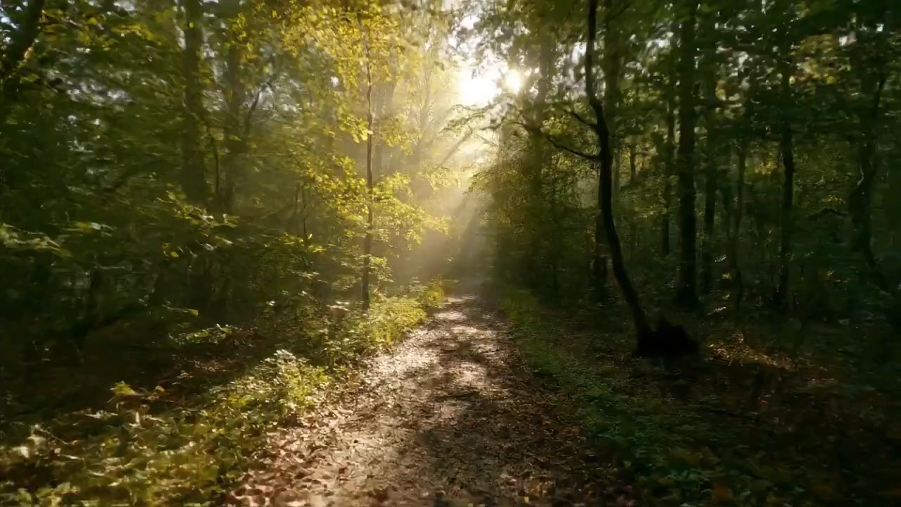 Tracking shot