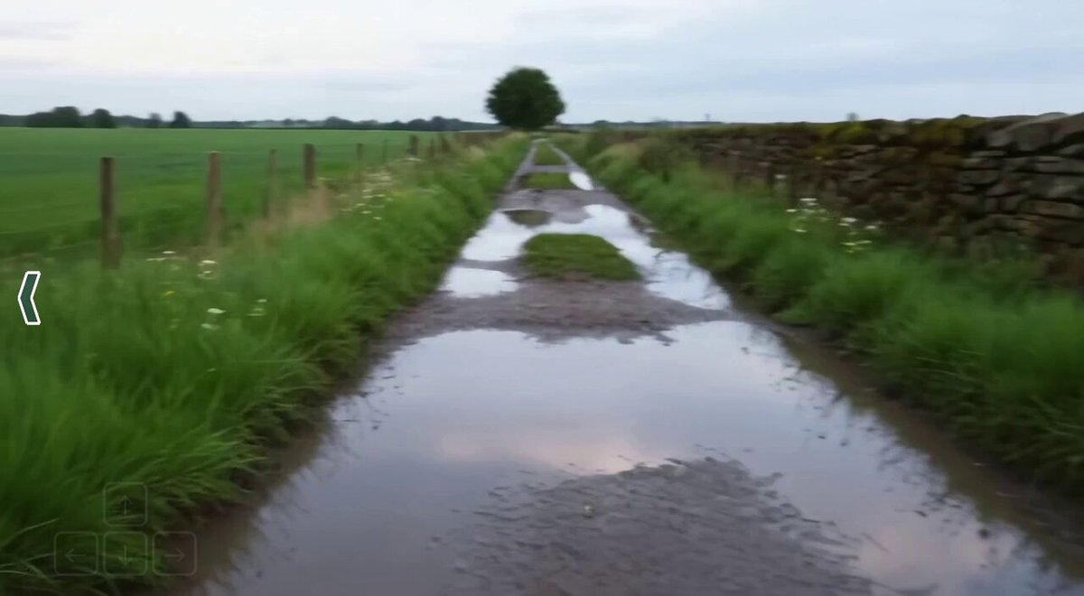 Puddles