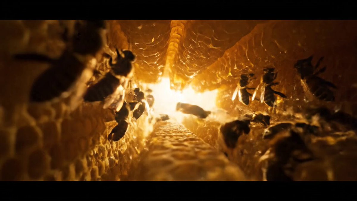 Worker bees in formation