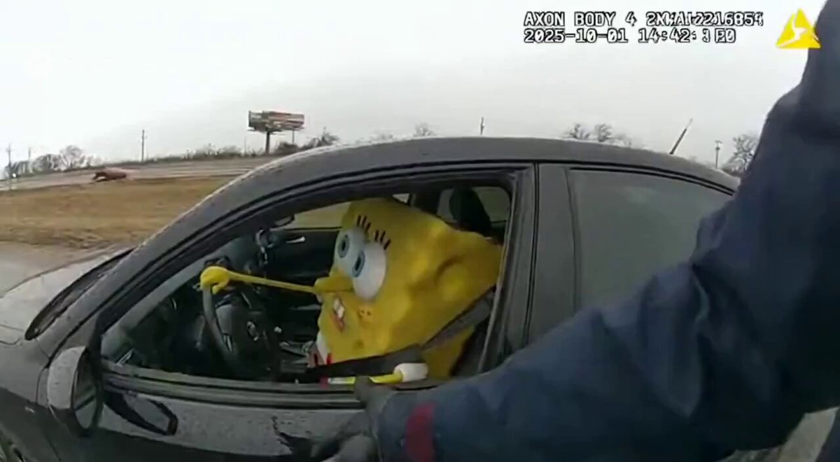 pongeBob Driving